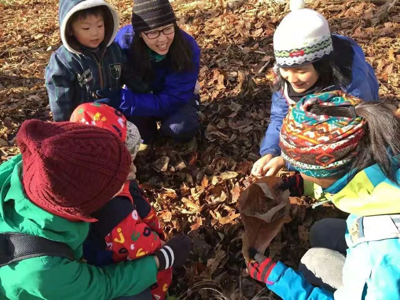 森林教育Forest Education - 知乎