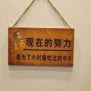 钓鱼不用漂