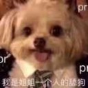 烟大“零碳未来”青年志愿者协会晁辉诚