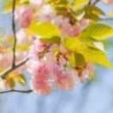 西交环境协会王译伟