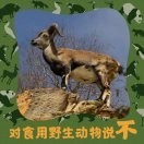 岩羊·乡朴(NP)