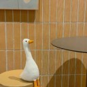 浙江海洋大学王婷