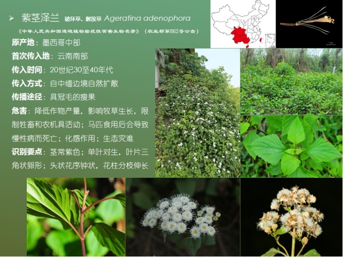 attachments-2021-12-5ABXbLFE61b577e80d51f.jpg