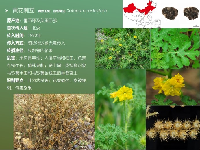 attachments-2021-12-SEuU3Cku61b57a42b79cc.jpg
