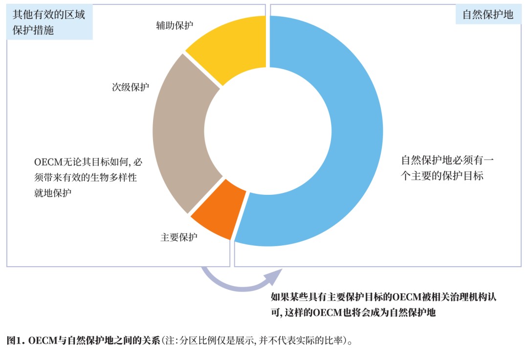 attachments-2024-08-jCUzDiB966b4d9f42029e.png