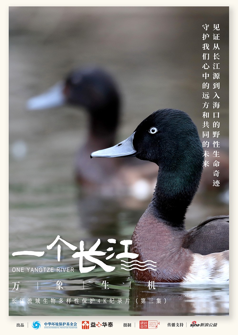 attachments-2025-06-ahOGESYR68442a62c4934.png