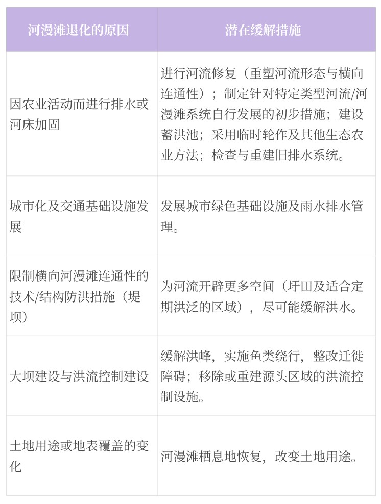 attachments-2025-08-C8FpMDvw68b1a12b97be3.png