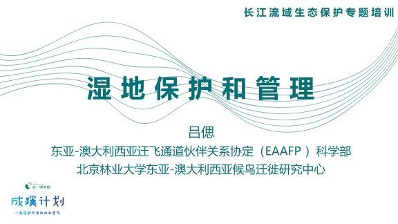 湿地保护和管理